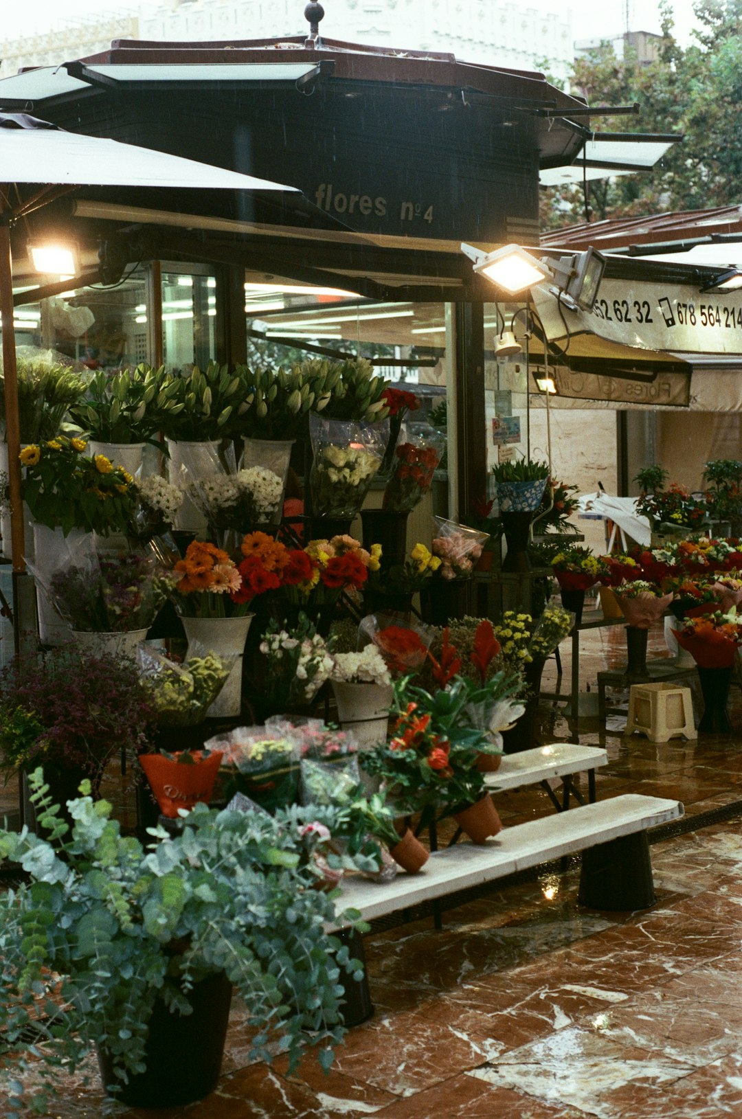 flowers | 35mm