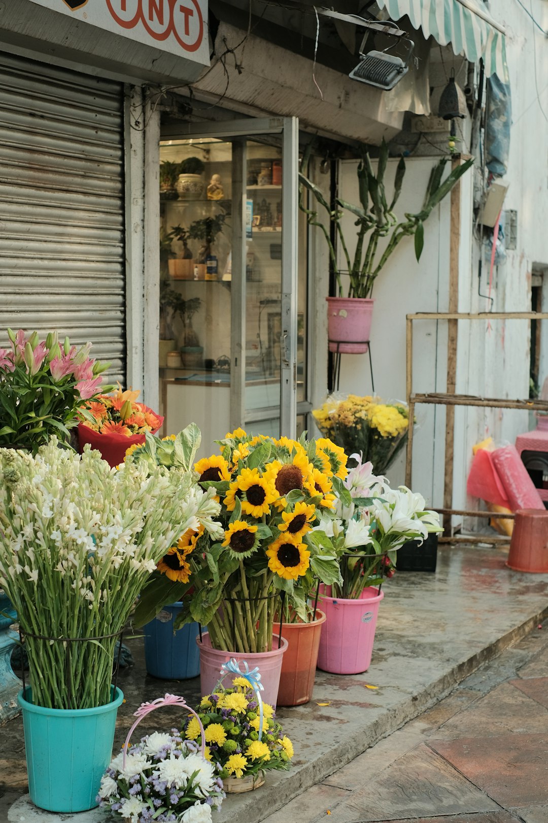 a-bunch-of-flowers-that-are-sitting-on-the-ground-9b2ngmuexmi